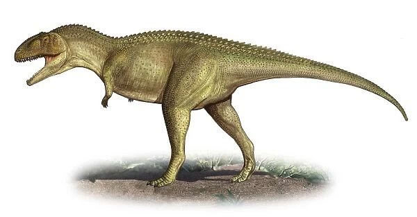 Tarascosaurus salluvicus, a prehistoric era dinosaur