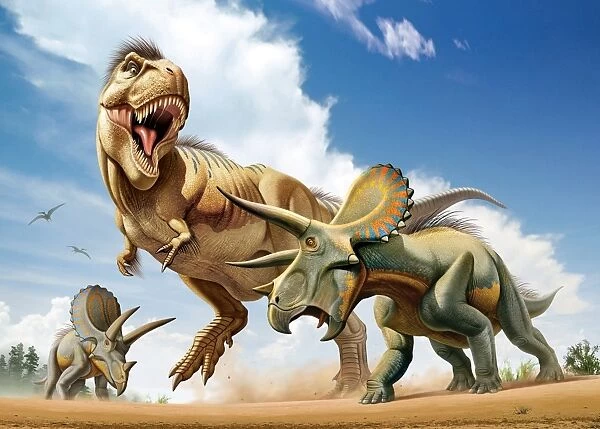 Tyrannosaurus Rex fighting with two Triceratops