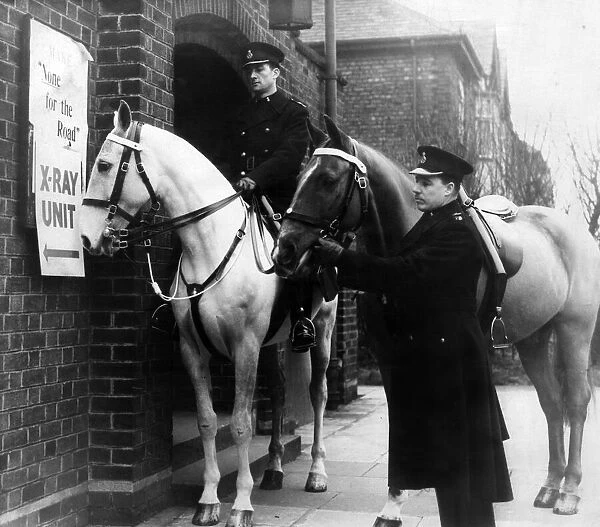 Police horses at an X-ray unit. Hobsons choice wonders what it is all about when