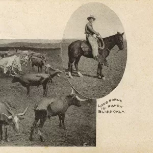 101 Ranch - Longhorn Cattle - Bliss, Oklahoma, USA