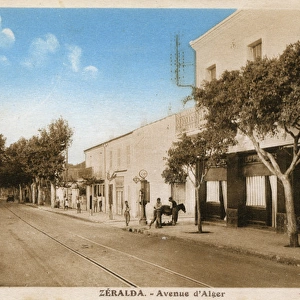 Avenue d Alger, Zeralda, Algiers, Algeria