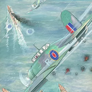 Blackburn Skuas, WWII aircraft