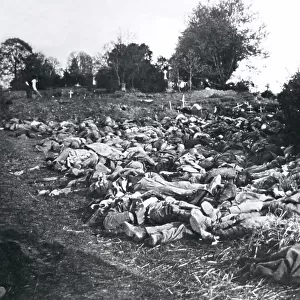 Corpses of Russian soldiers, Brzostek cemetery, WW1