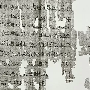 Hieratic papyrus. Process document. Conspirator death lawsui
