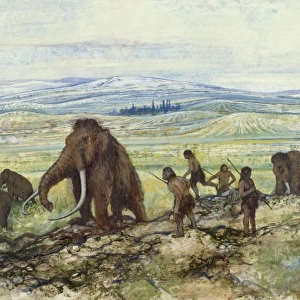 Pleistocene hunters