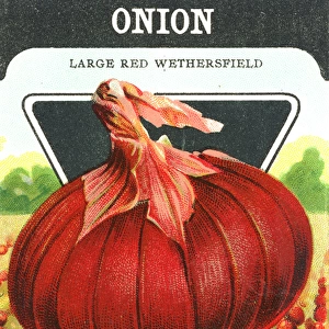 Vintage red onion seed packet