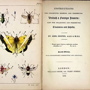 1827, 1839, Collecting British Insects