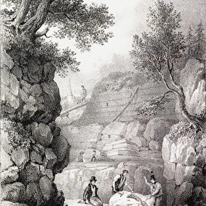 1833 Gideon Mantell Tilgate dinosaurs