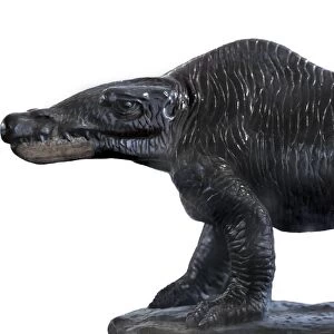 1854 Megalosaurus reconstruction & jaw 1854 Megalosaurus reconstruction & jaw