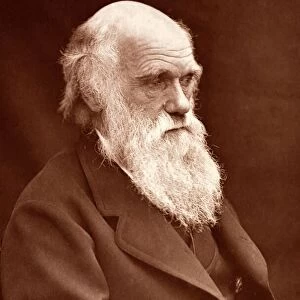 1874 Charles Darwin picture by Leonard