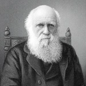 1879 Charles Darwin steel engraving crop