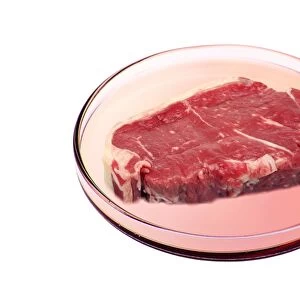 Artificial meat, conceptual image