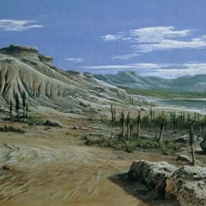 Artists impression of Triassic period landscape