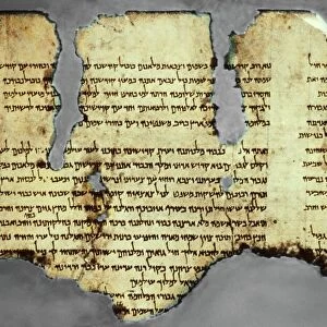 Dead Sea scroll fragment, 1st century AD C014 / 2074