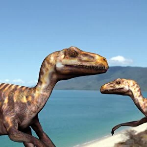 Deinonychus dinosaurs