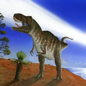 Extinction of the dinosaurs, artwork