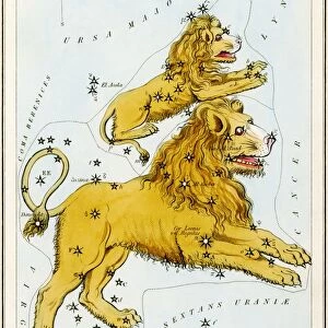 Leo constellations