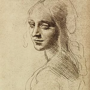 Leonardo da Vinci artwork