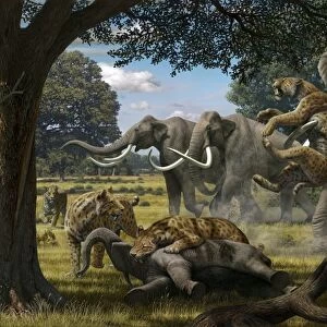 Mammoths and sabre-tooth cats, artwork