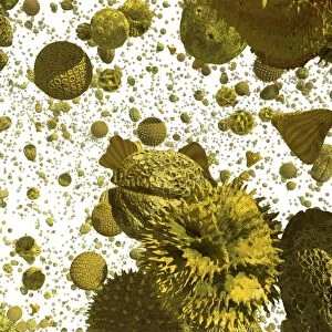 Pollen grains, artwork