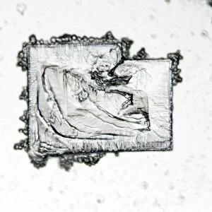 Potassium iodide crystals, micrograph C016 / 3119