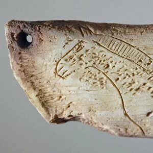 Prehistoric carved horse C015 / 6733