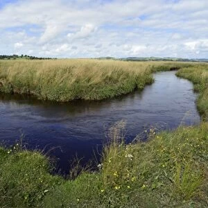 River Teifi at Cors Caron bog C016 / 9742