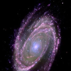 Spiral galaxy M81, composite image