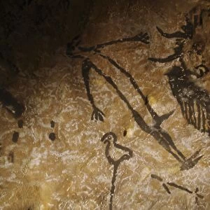 Stone-age cave paintings, Lascaux, France