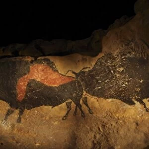 Stone-age cave paintings, Lascaux, France