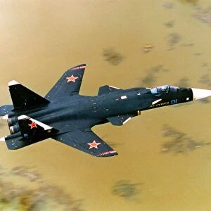 Sukhoi Su-47 Berkut fighter aircraft C017 / 7569