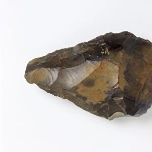 Swanscombe hand axe C013 / 6535