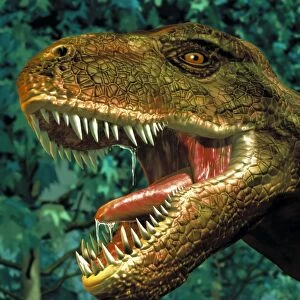 Tyrannosaurus rex dinosaur head