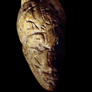 Venus of Dolni Vestonice, Stone Age