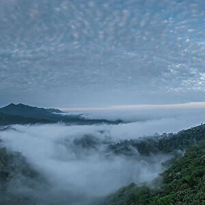 Aerial view of The Cloudforest, Mashpi, Reserva Mashpi Amagusa, Pichincha, Ecuador, South America