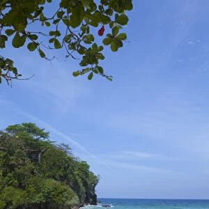 Frenchmans Cove, Portland Parish, Jamaica, West Indies, Caribbean, Central America