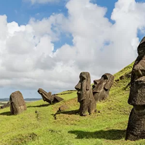 Moai sculptures in various stages of completion at Rano Raraku, the quarry site for all moai on Easter Island, Rapa Nui National Park, UNESCO World Heritage Site, Easter Island (Isla de Pascua), Chile, South America