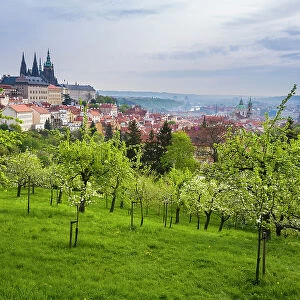 Prague Castle and Patrin Gardens in spring, Prague, Bohemia, Czech Republic (Czechia), Europe