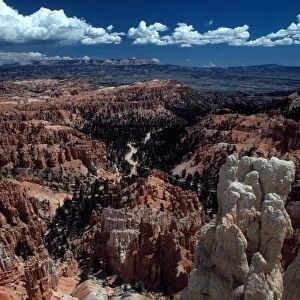 Bryce Canyon Utah USA (c) Collis