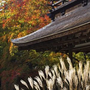 Japan, Kyoto, Ginkakuji Temple - A World Heritage Site