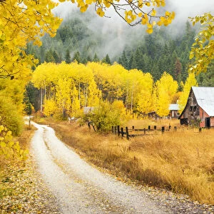 Old Barn in Autumn, Wenatchee National Forest, Washington, USA