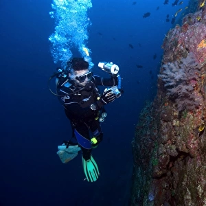 Diver photographs black coral, Anthipataria sp. St. Peter and St. Pauls rocks, Brazil, Atlantic