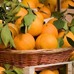 Orange (Citrus sinensis) fruit, for sale on market stall, on market stall, Turin, Piedmont, Italy, march