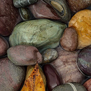 Colorful river rocks along the Middle Fork of the Flathead River in Glacier National Park