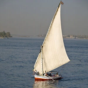 EGYPT, Luxor. A felluca sailboat on the waters of the Nile