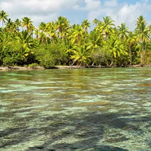French Polynesia, Taha'a. Ocean corals and tropical forest