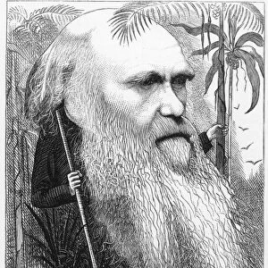 CHARLES ROBERT DARWIN (1809-1882). English naturalist