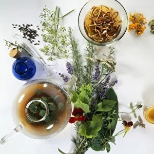 Fresh and dried herbs, flowers, leavesglass bottles, capsules, ointment, lavender bag, and herbal tea infusion