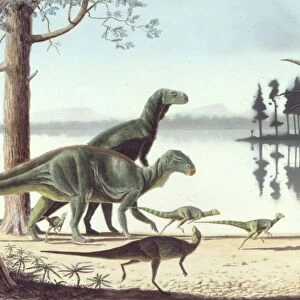 A herd of small Hypsilophodon disturbed by a pair of Iguanodon on the shores of an early Cretaceous lake