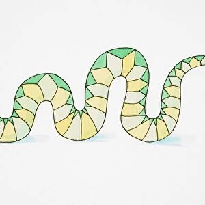 Comical depiction of smiling green and yellow snake, slithering with tongue sticking out, side view